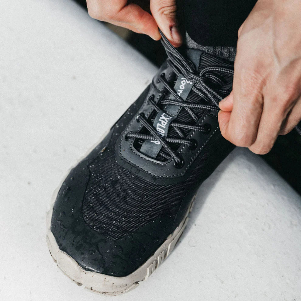 Roots Explorer - Antracita