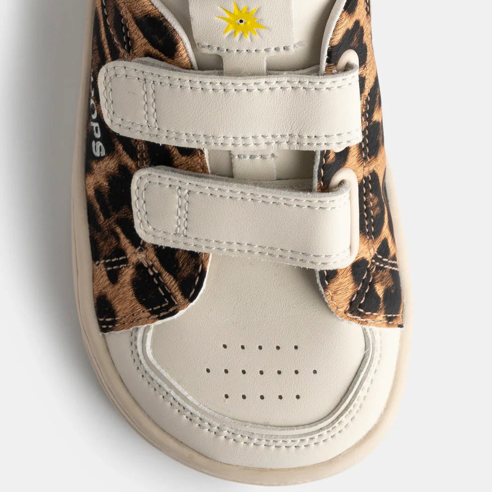 Koops Rafi - Leopardo