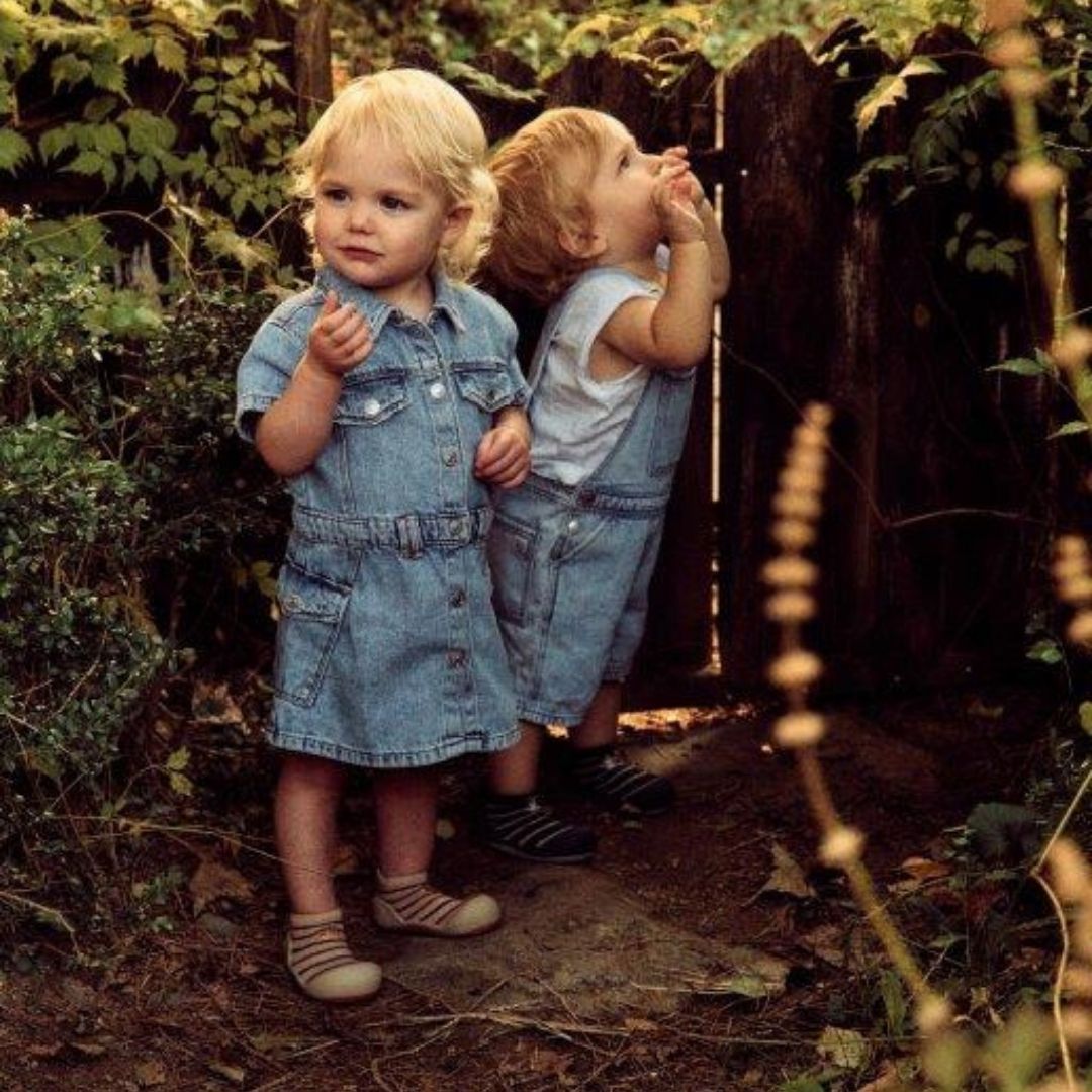 Attipas Hedgehog - Navy