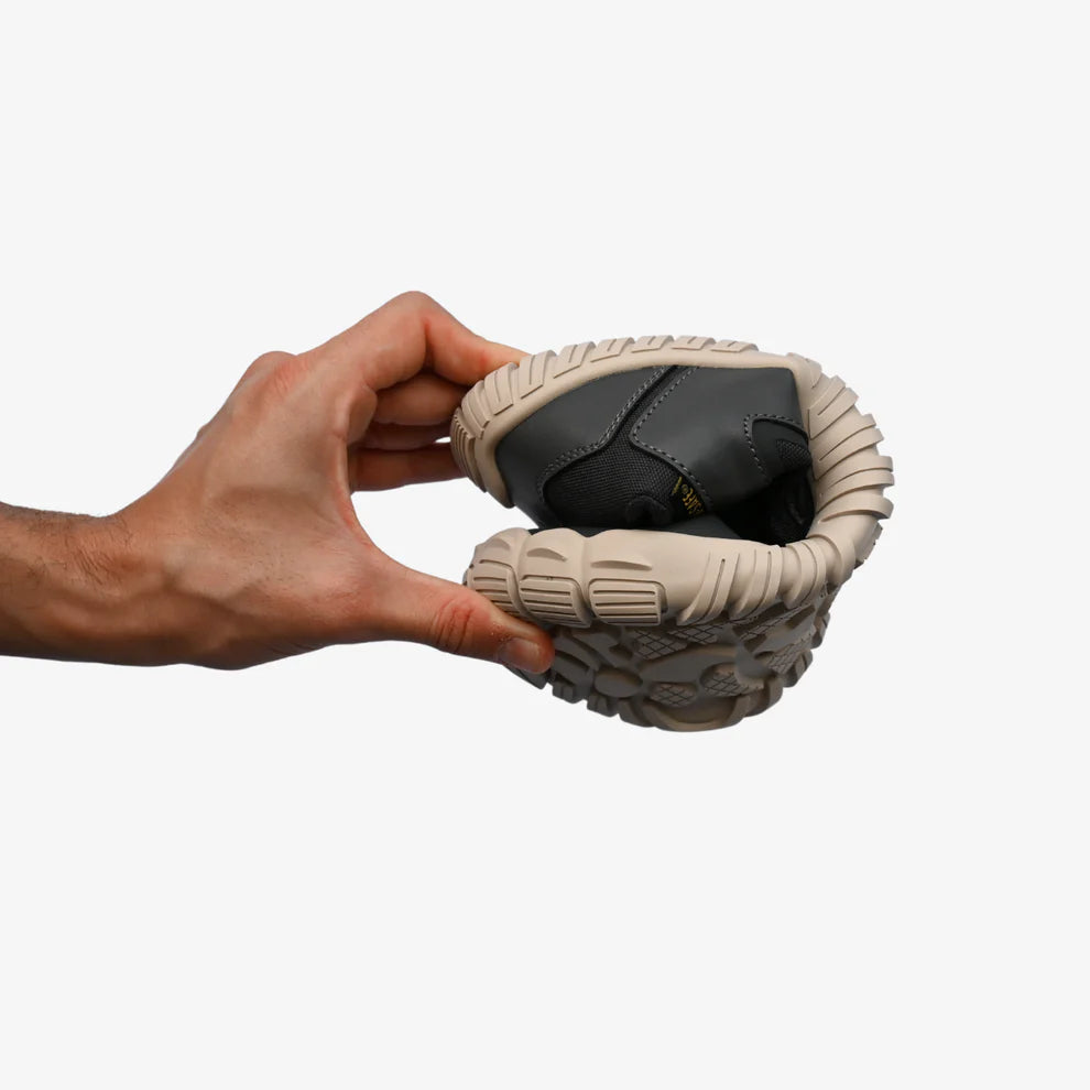 Roots Explorer - Antracita