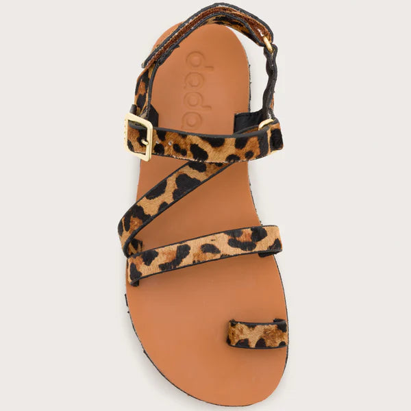 Dada Senda - Leopard