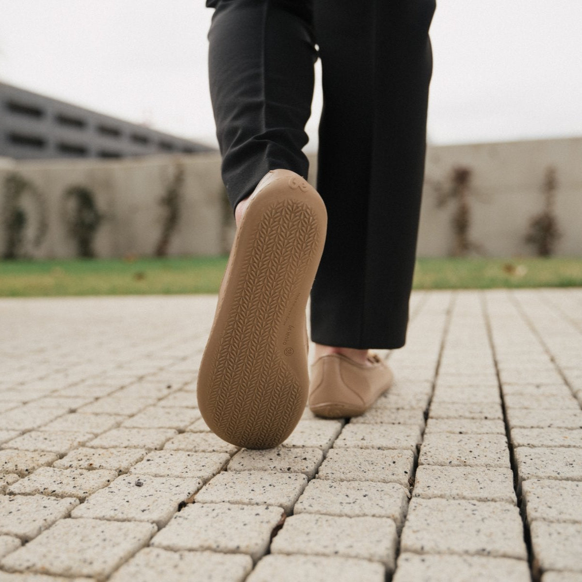 Be Lenka Viva - Late-Brown