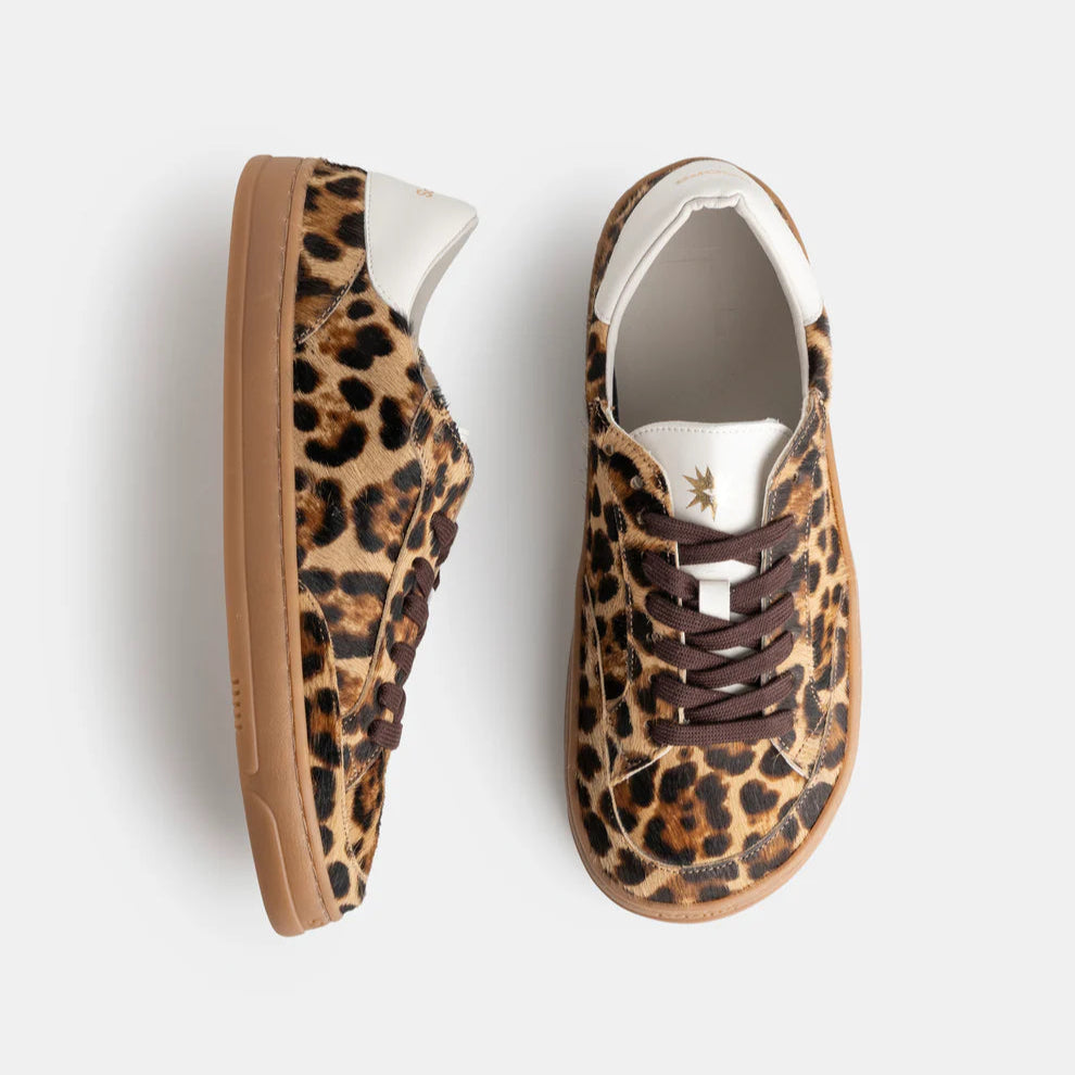 Koops Venan - Leopardo